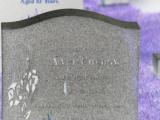 image of grave number 798231